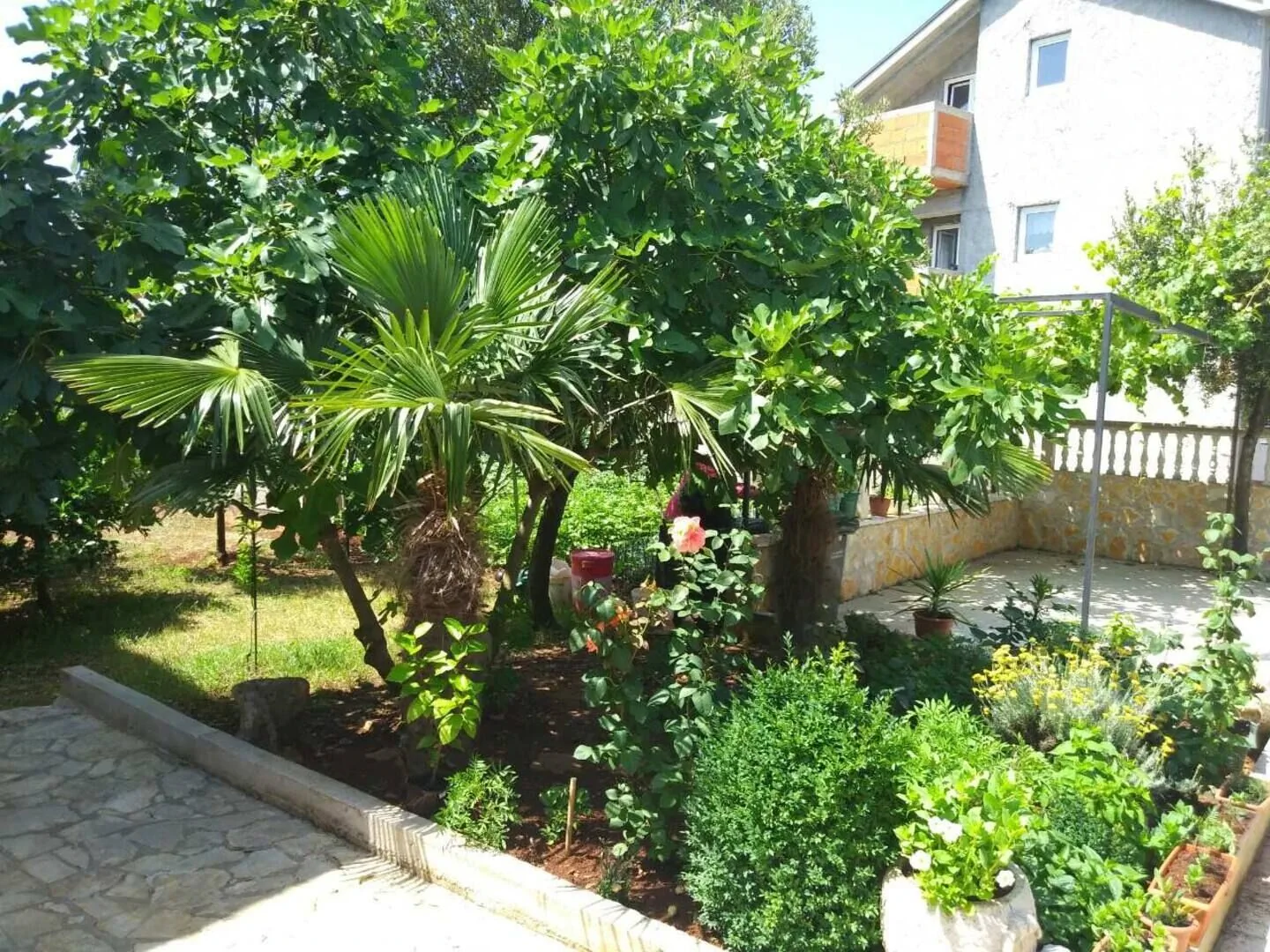 Apartments With Parking Space Rudina, Hvar - 23777 Rudina – Rudina, Chorvatsko