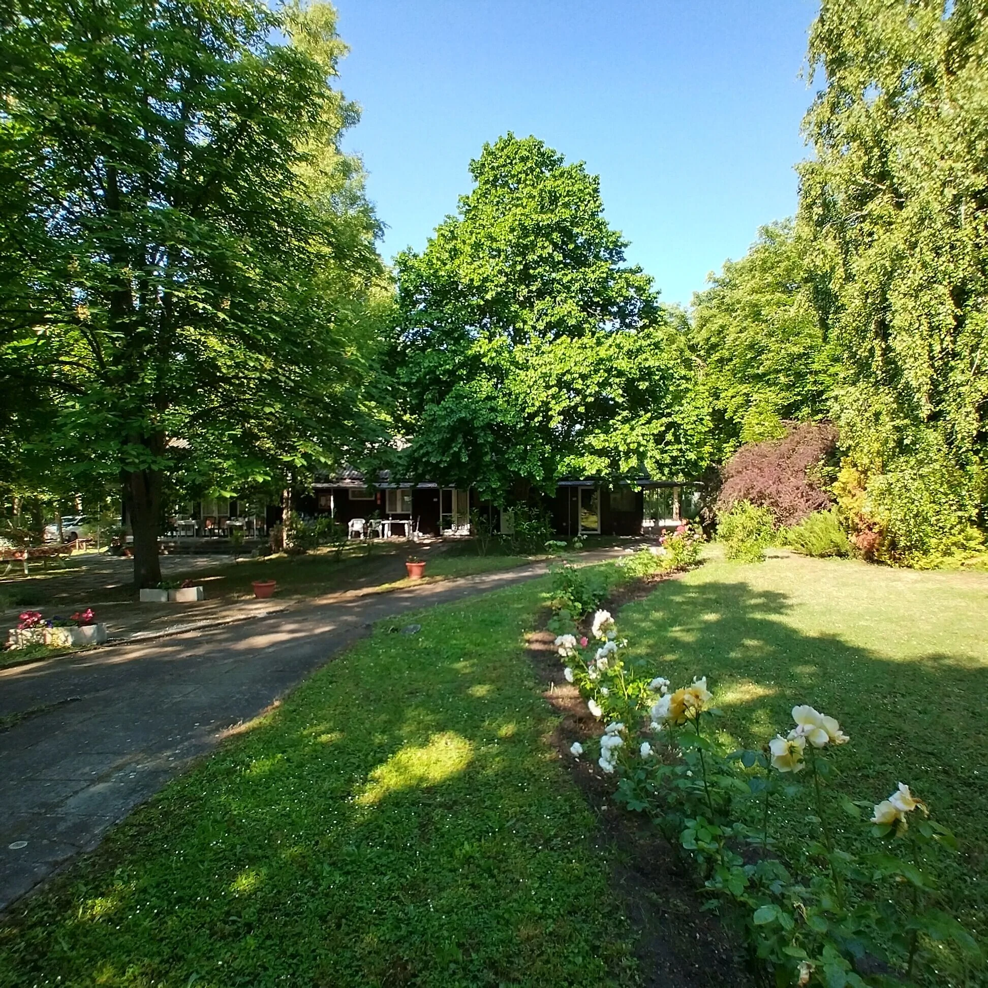 Gesztenyés Üdülő Balatonudvari - foto 4