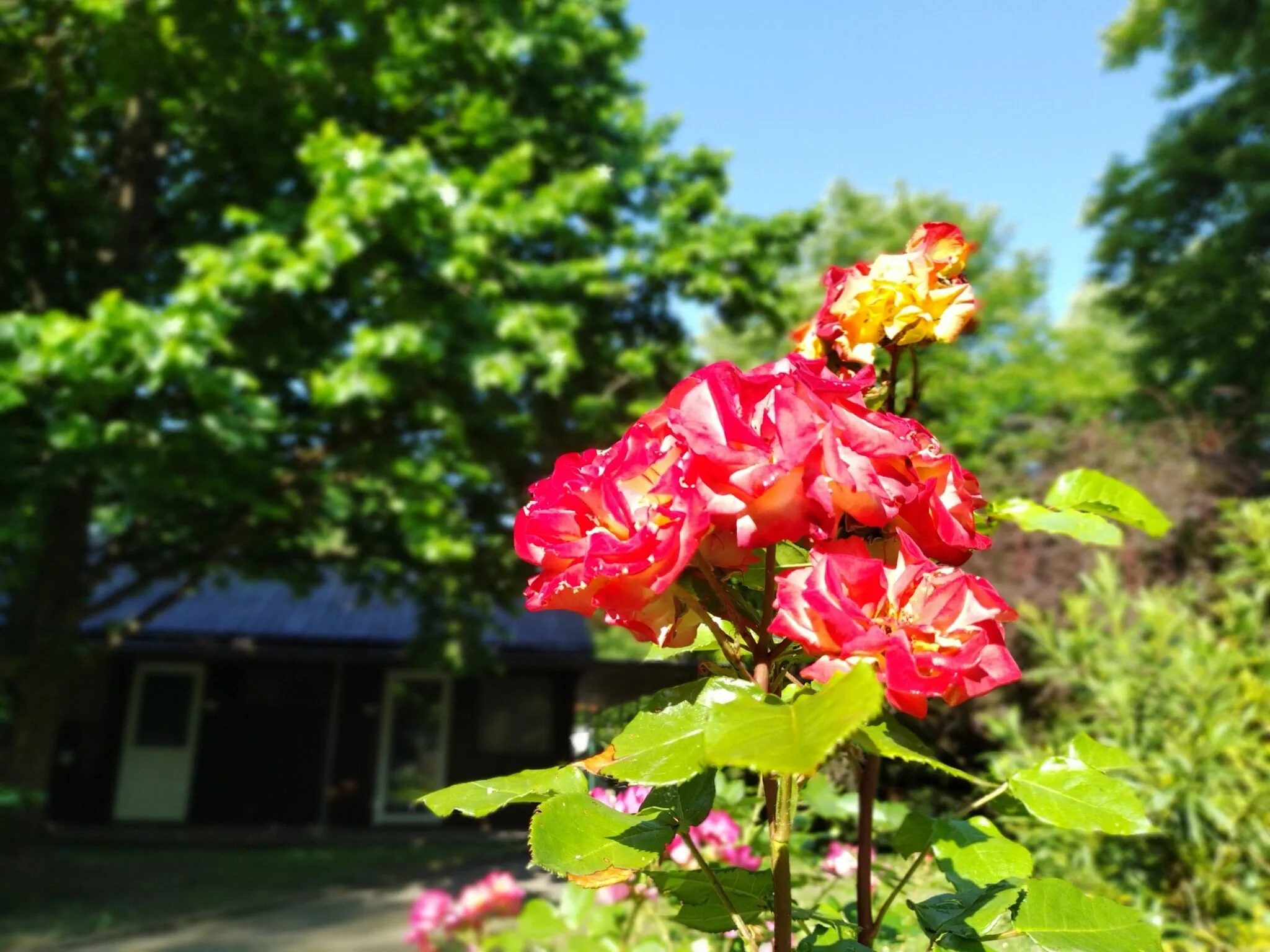Gesztenyés Üdülő Balatonudvari - foto 6