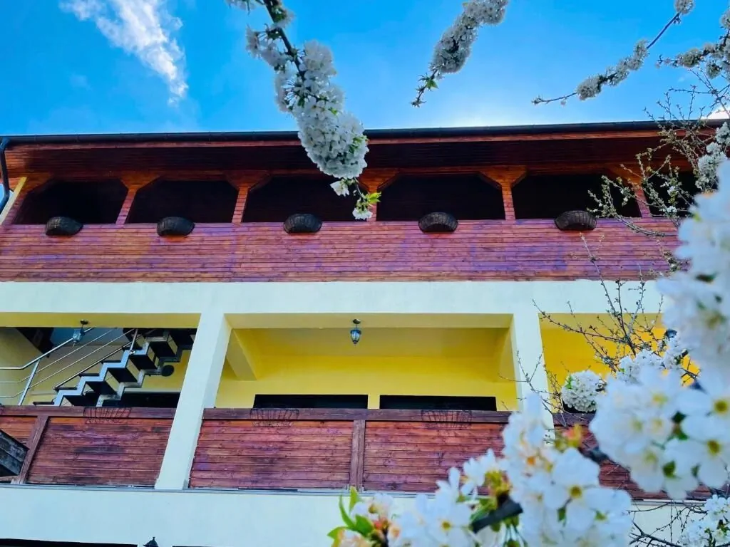 Casa Camelia Dubova – Dubova, România