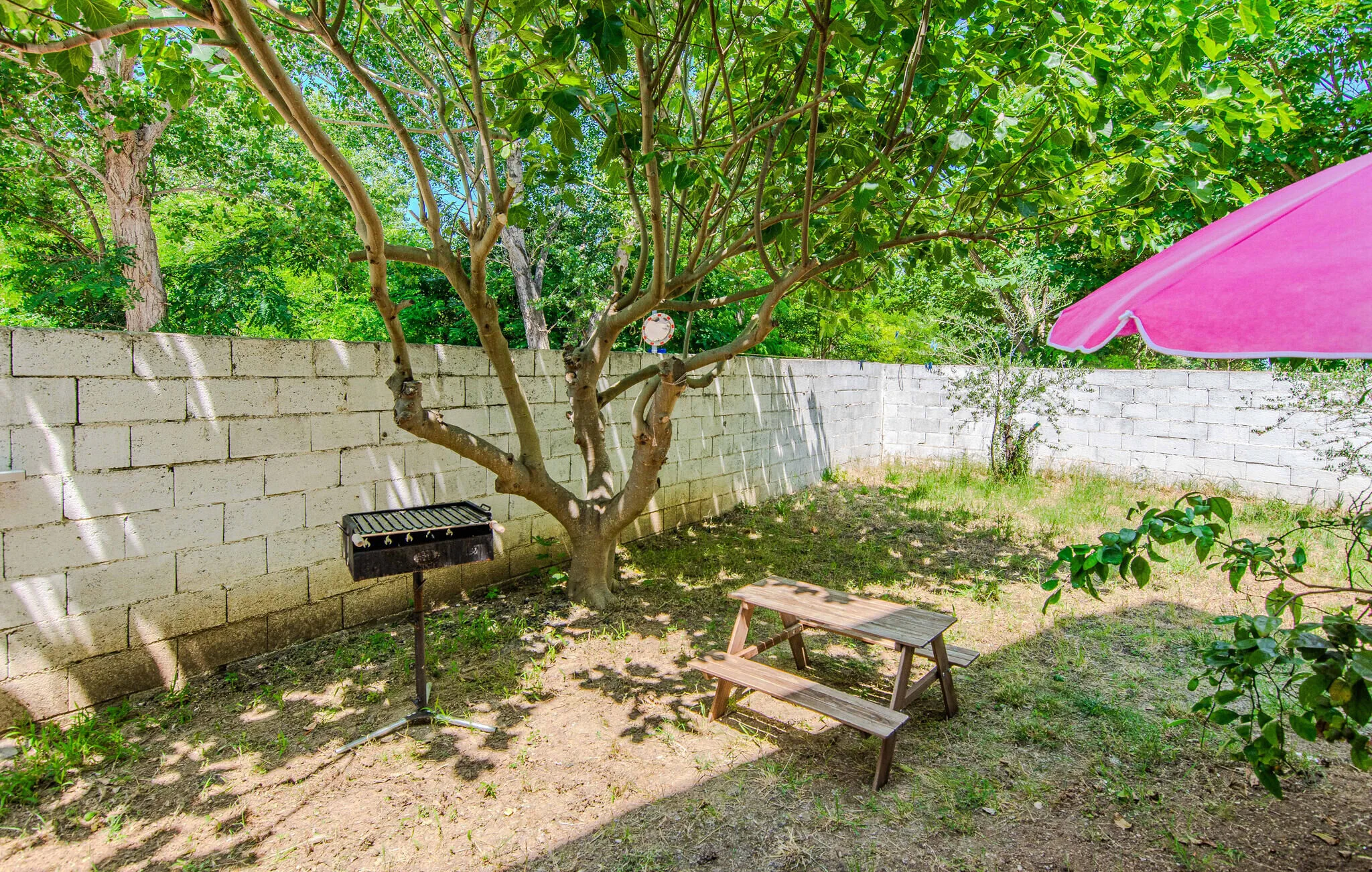 Apartman Nin - CDA663 - foto 3
