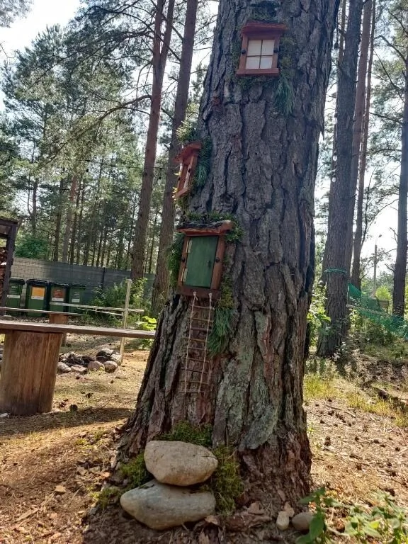 Domki przy Lipowej 16 Łuka – Łuka, Polonia
