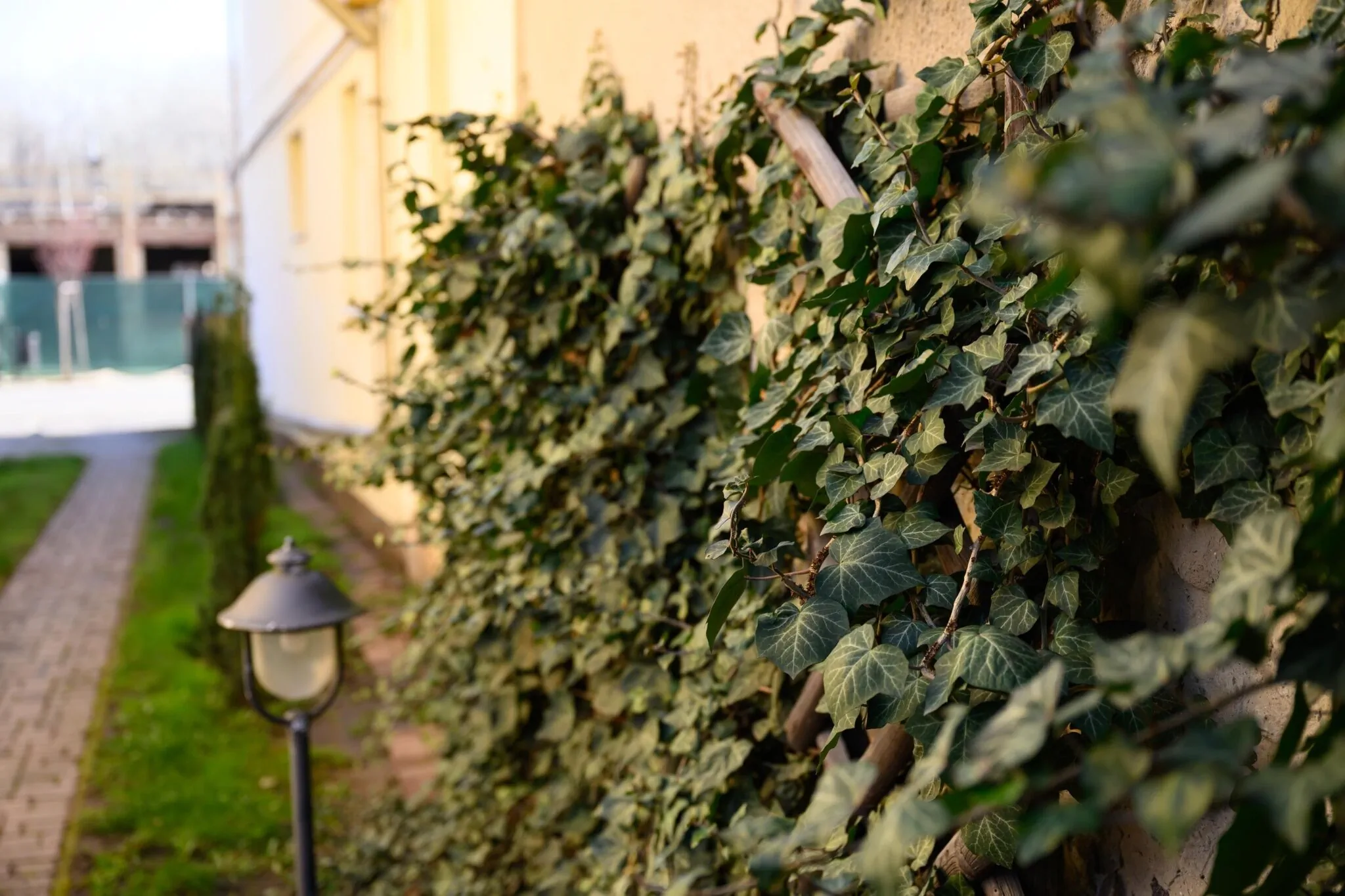 Essence Apartman Tokaj – Tokaj, Ungaria