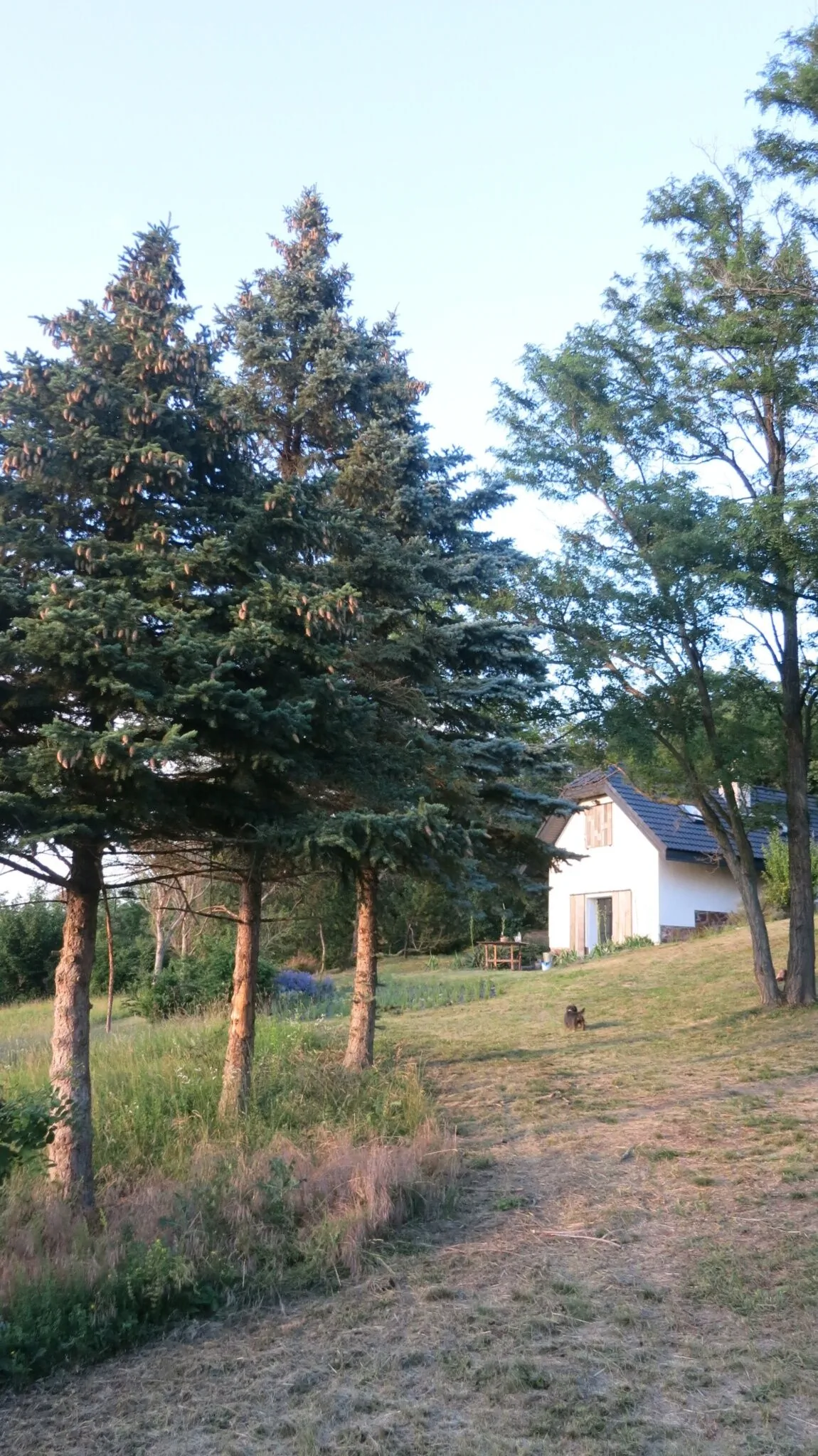 Késvilla Kékkút – Kékkút, Ungaria