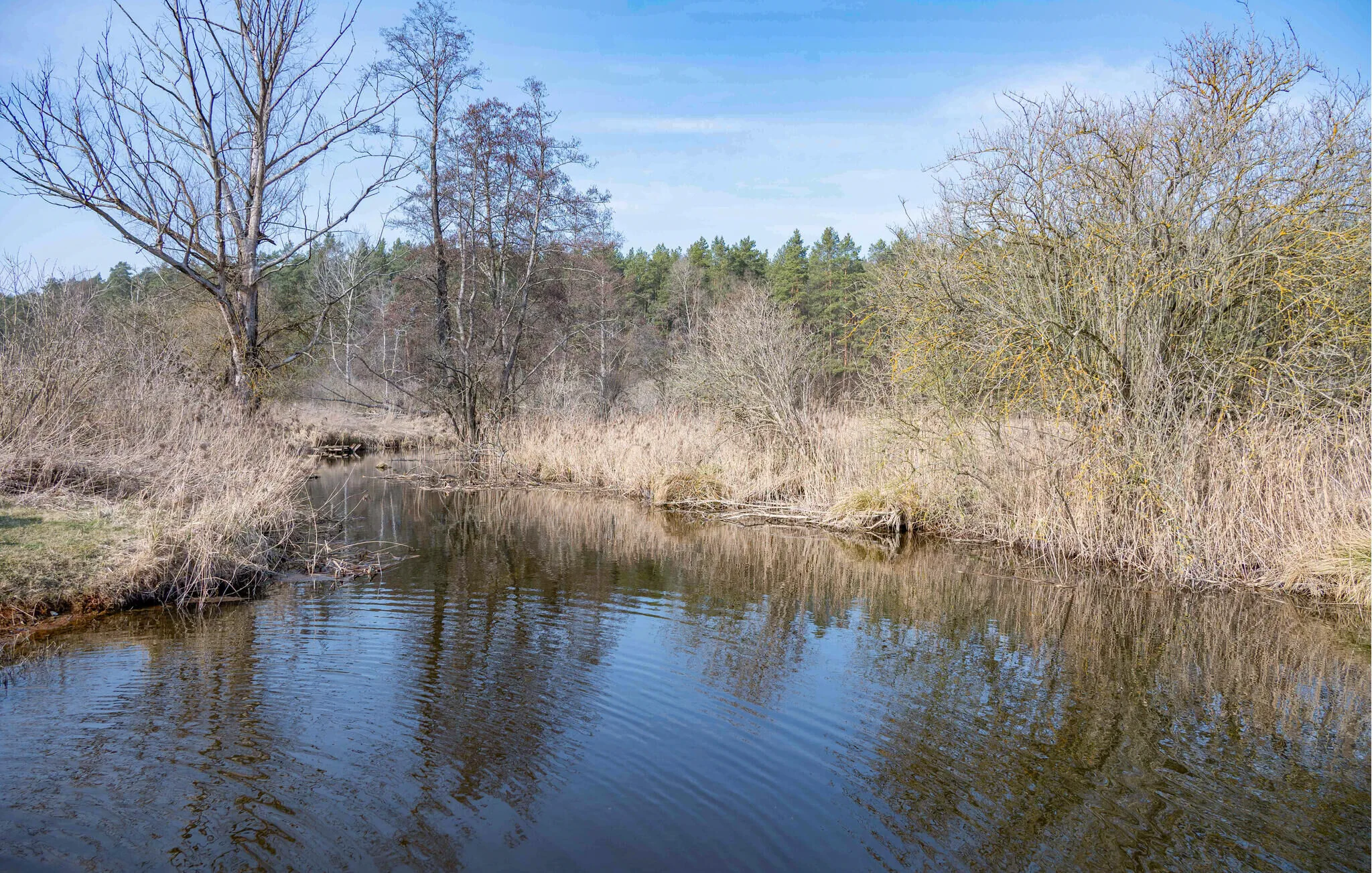 Vendégház Gietrzwałd - PMA099 – Gietrzwałd, Polonia