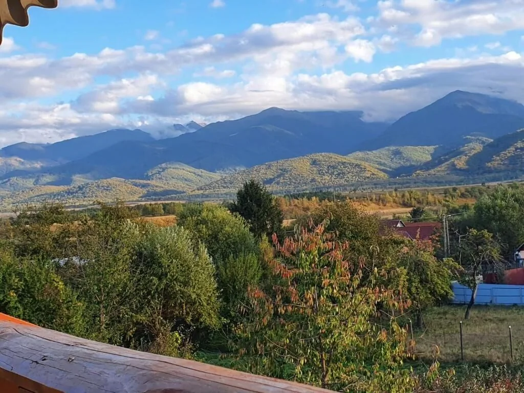Pensiunea Leia Transfăgărășan Cârţişoara – Cârţişoara, România