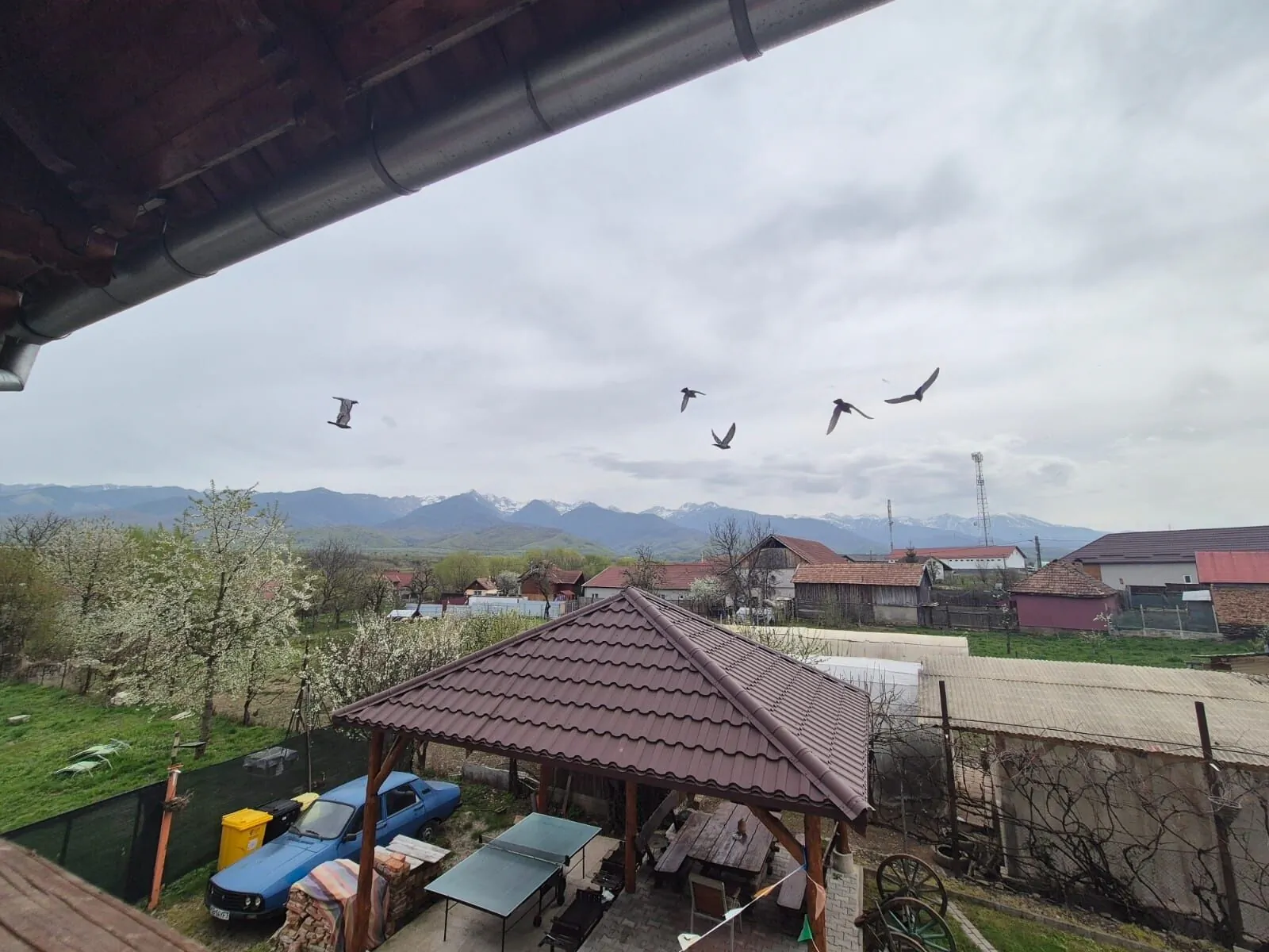 Pensiunea Leia Transfăgărășan Cârţişoara – Cârţişoara, România