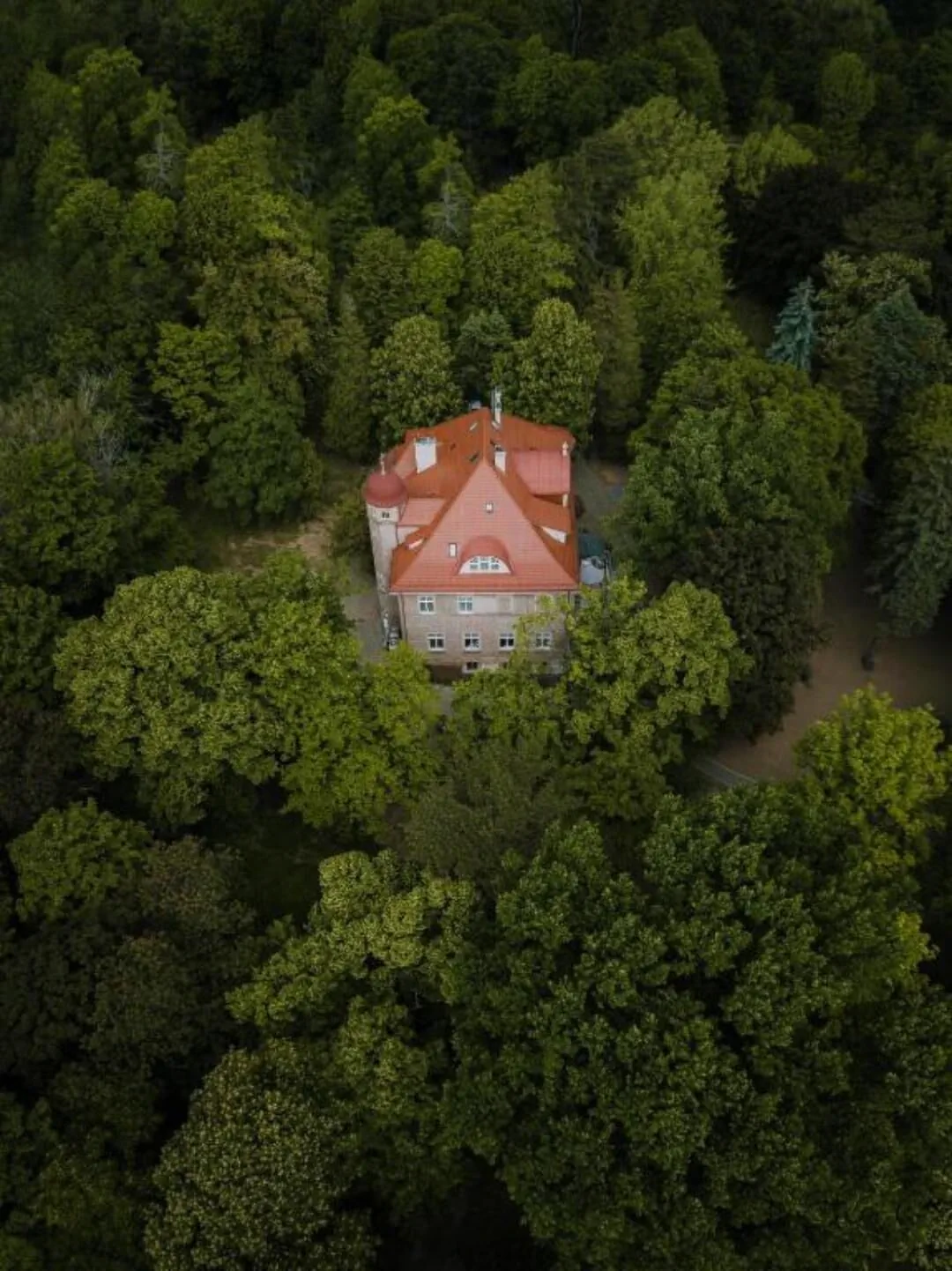 Hotel Dębowy Biowellness & SPA Góry Sowie Bielawa - foto 10