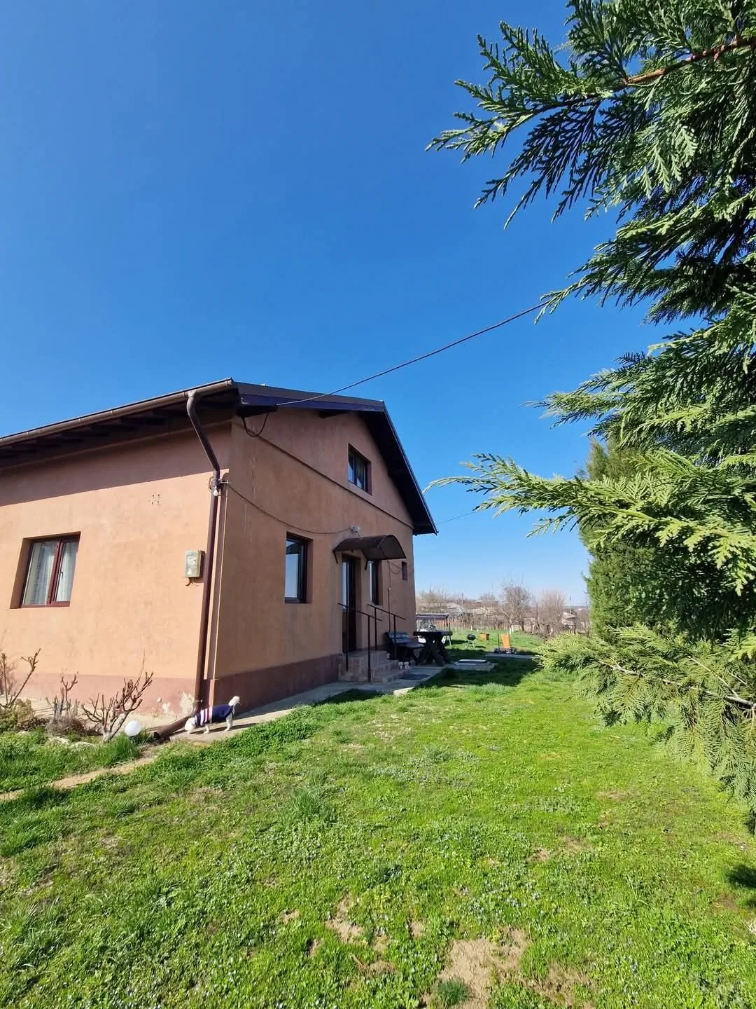 Family's UpHouse Iepureşti – Iepureşti, România