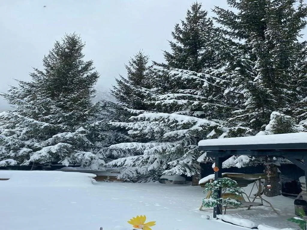 Chalet Solaris Busteni – Buşteni, Rumunsko