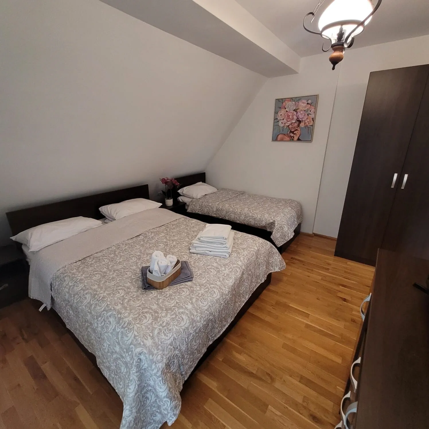 Vila Alex Arieseni Vârtop – Vârtop, România