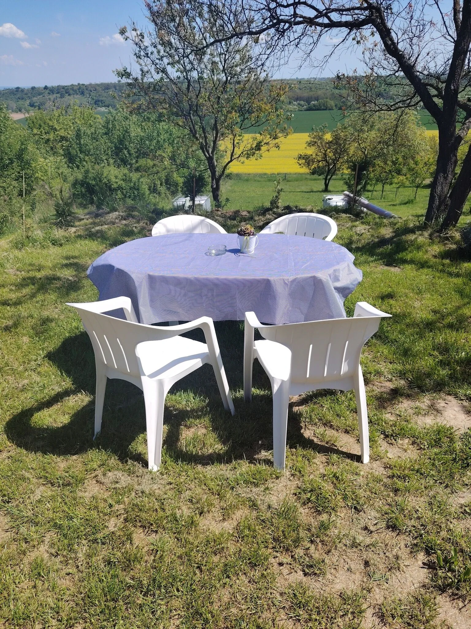 Rizling Apartman Balatonendréd - foto 3