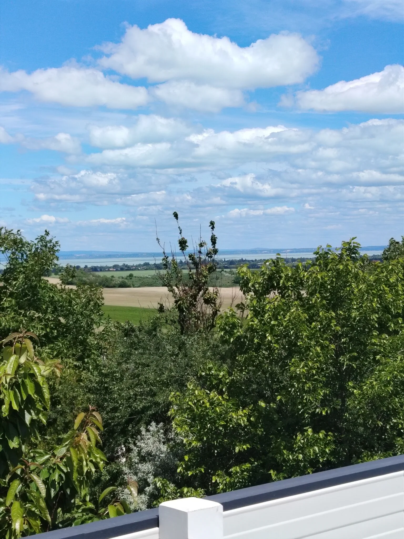 Rizling Apartman Balatonendréd - foto 5