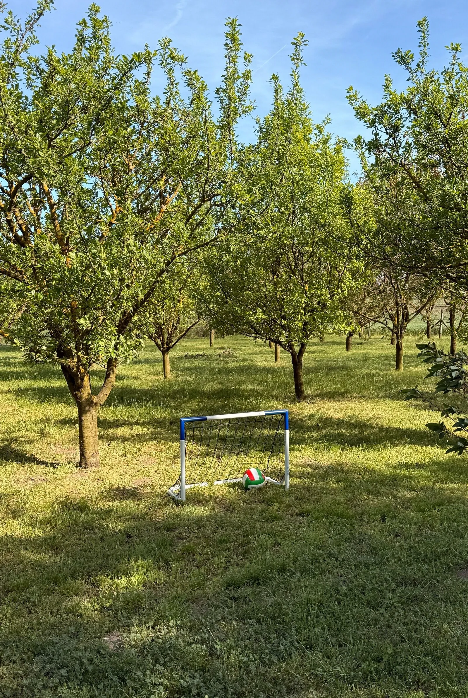 Ko-Bor Tanya Kondoros – Kondoros, Węgry