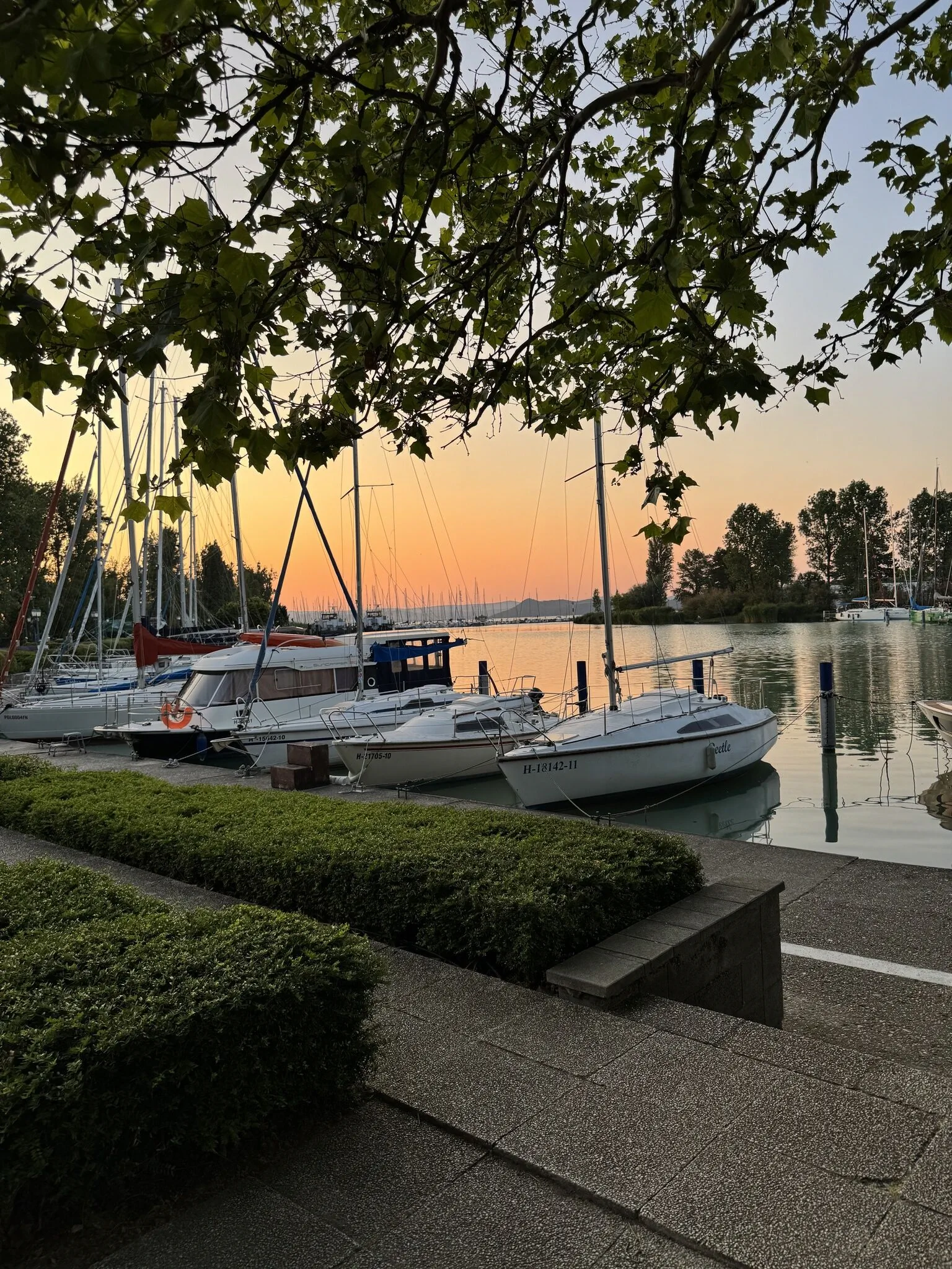 Bunny Apartman Balatonföldvár - foto 1
