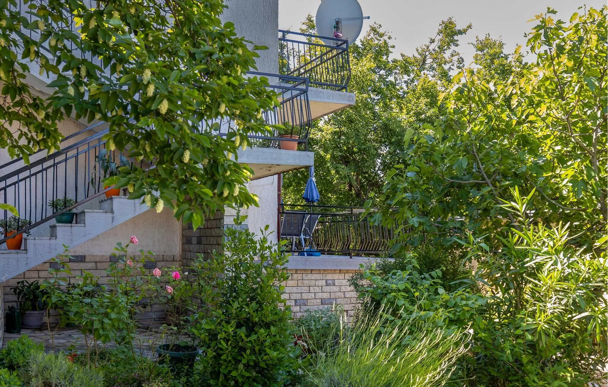Apartman Jadranovo - CKA349 - foto 6