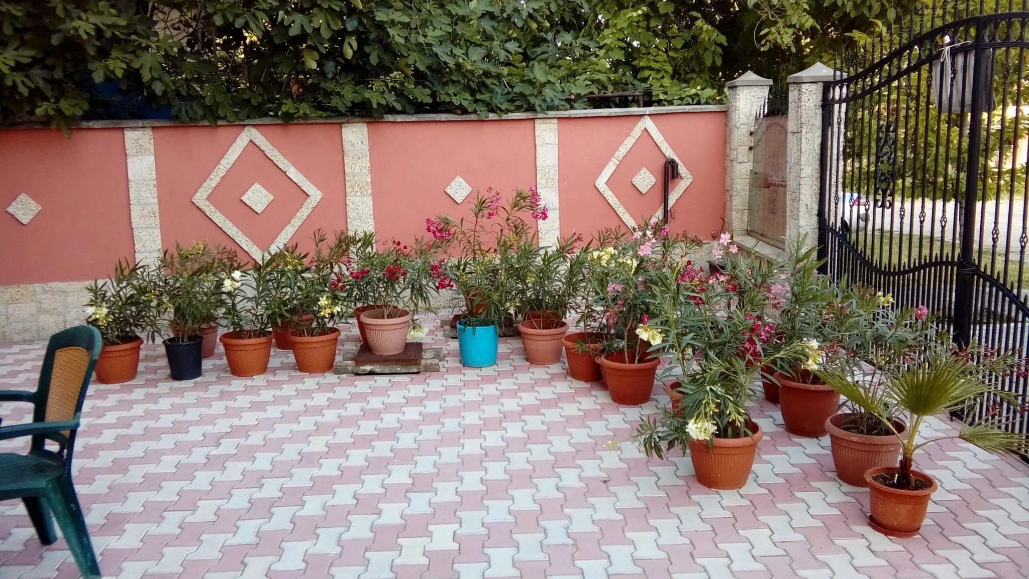 Camere de închiriat Camelia 1 Eforie Sud – Eforie Sud, Rumunsko