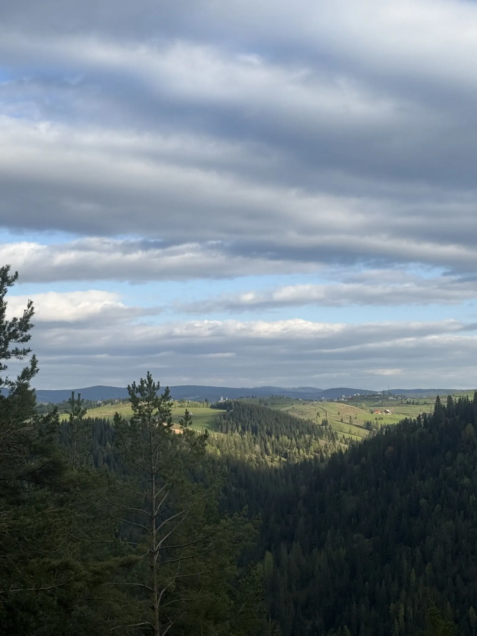 Cabana The Nest Marisel – Mărişel, România