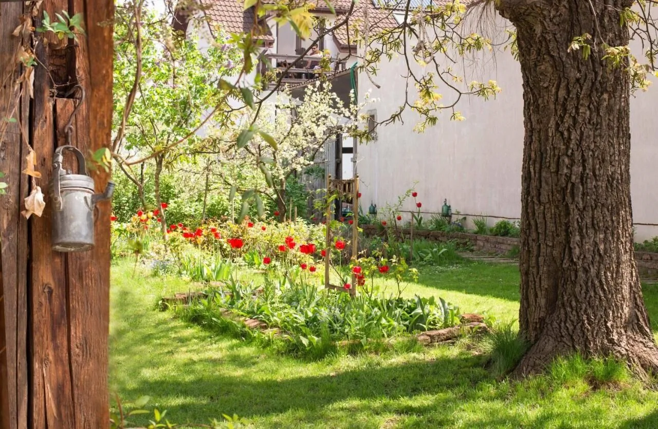 Pensiunea Mango Rooms Brașov – Brașov, România