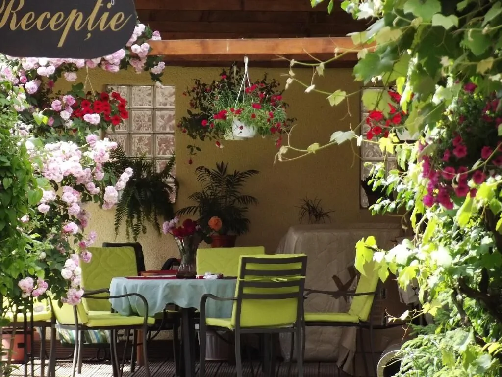 Vila Fortuna - Art O'Clock Sibiu – Sibiu, România