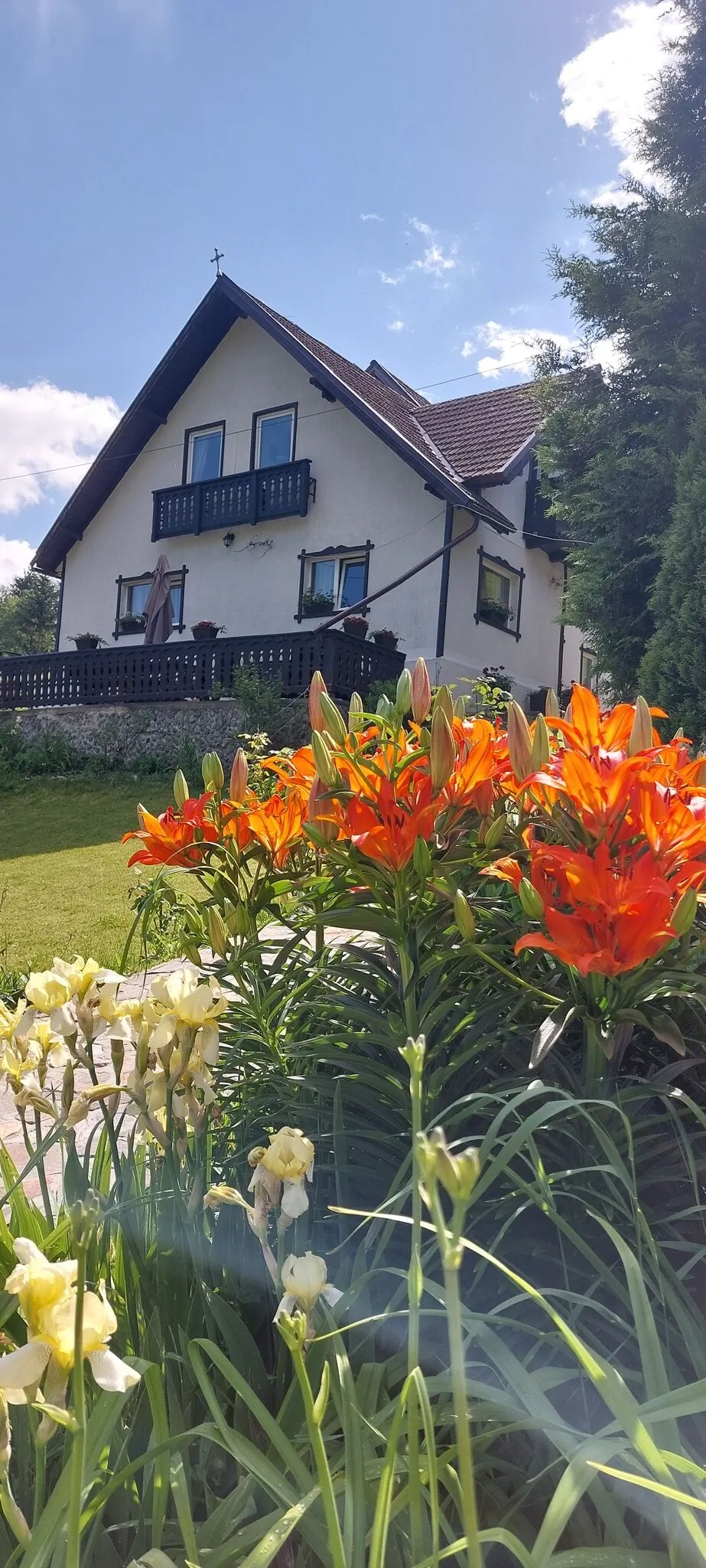 Casa Victoria Moieciu de Sus - foto 2