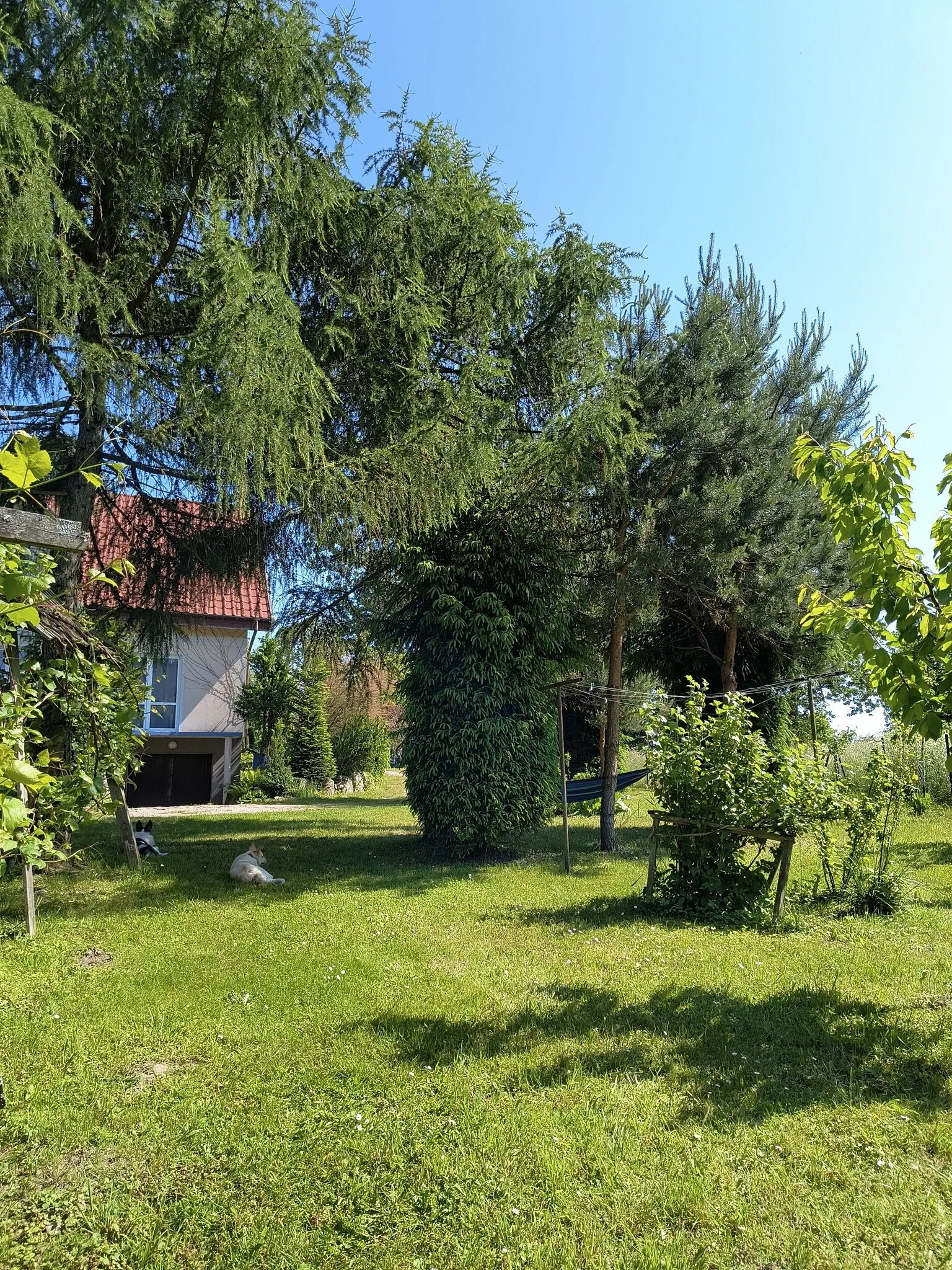 Dom z ogrodem na Mazurach – Surmówka, Polska