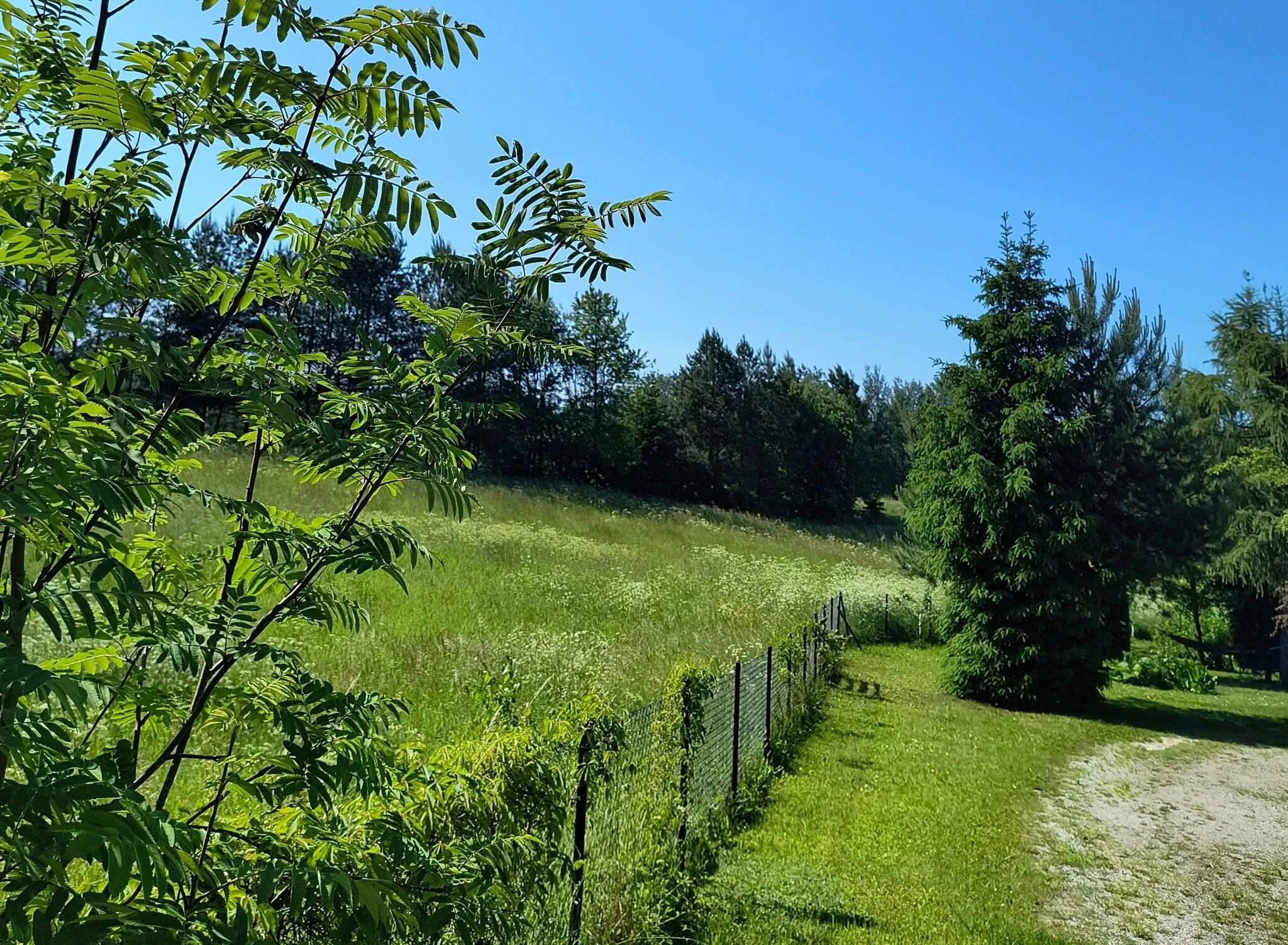 Dom z ogrodem na Mazurach – Surmówka, Polska