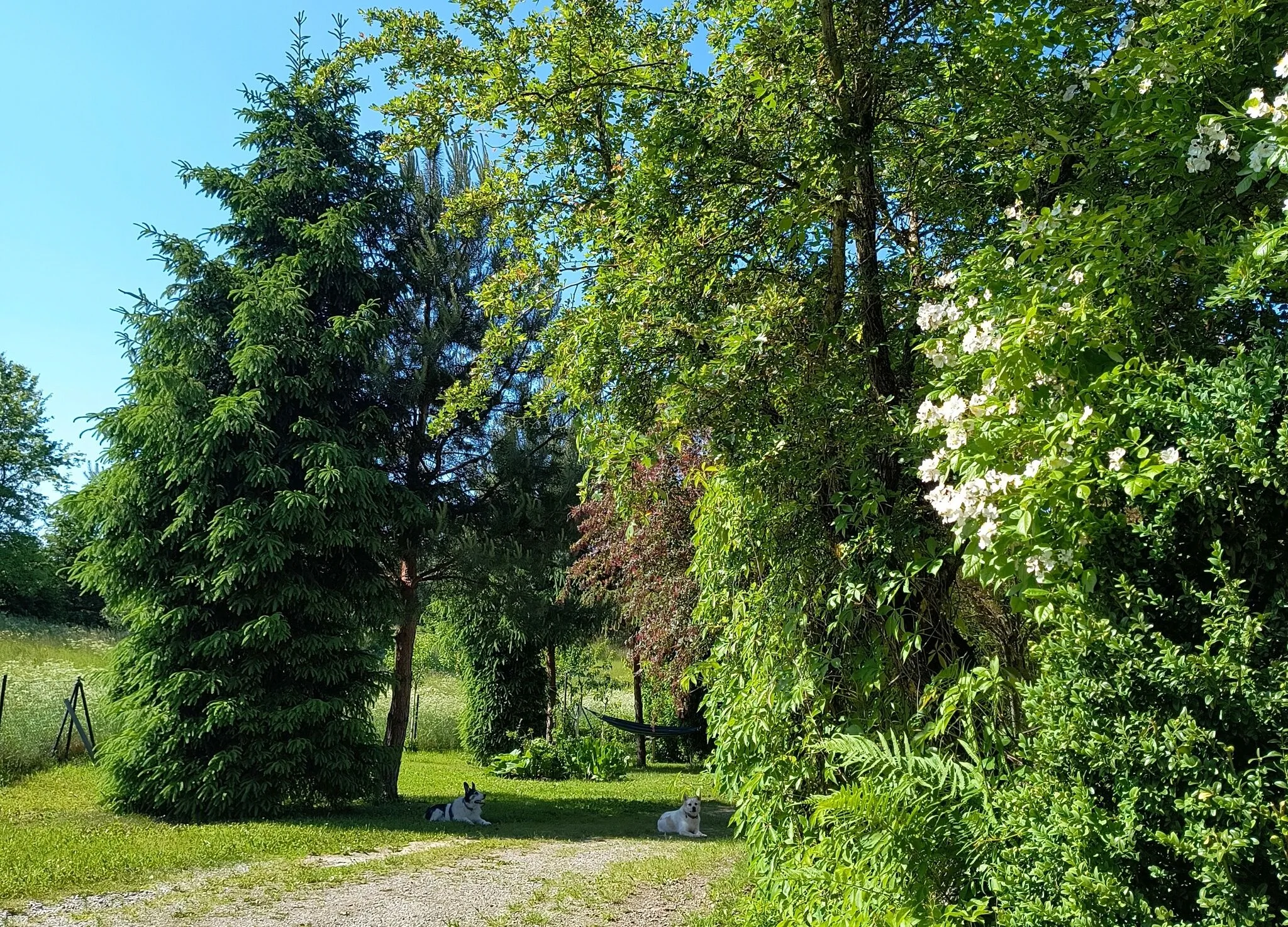 Dom z ogrodem na Mazurach – Surmówka, Polska