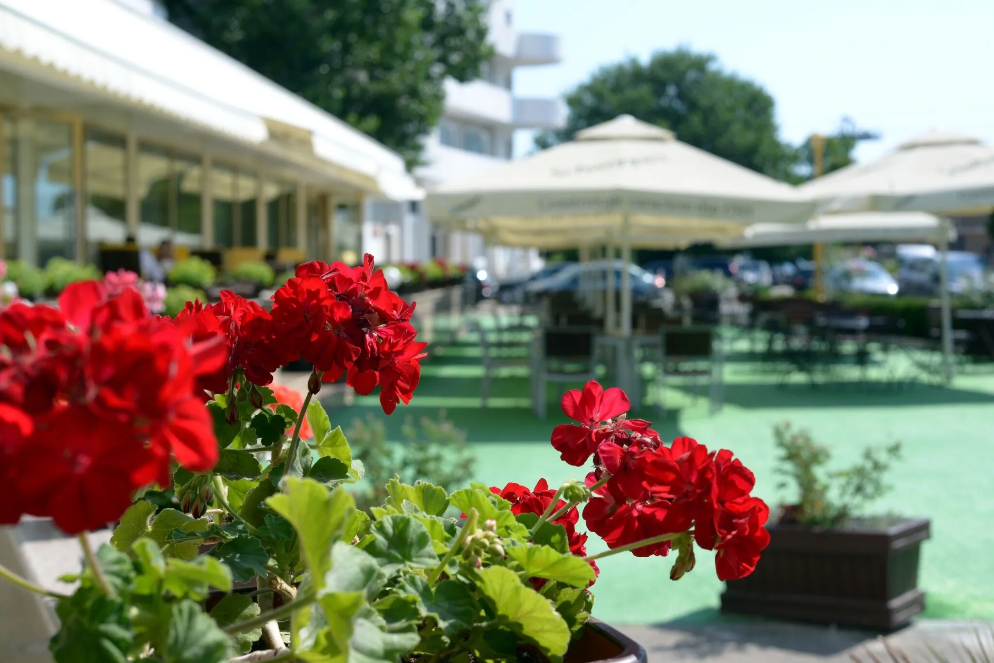 Hotel Condor Mamaia – Mamaia, Rumunia