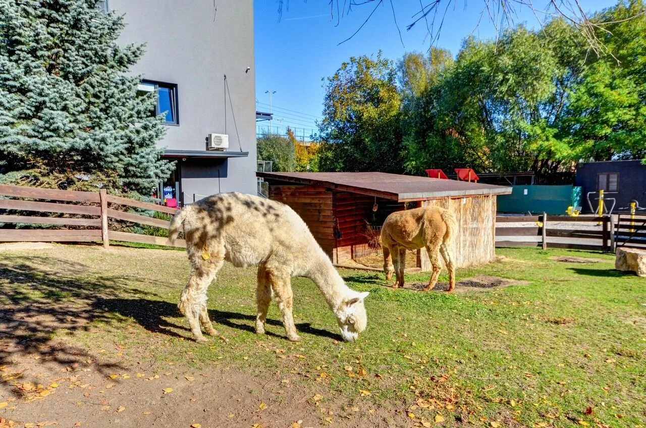 Holiday houses Barca Košice – Koszyce, Słowacja