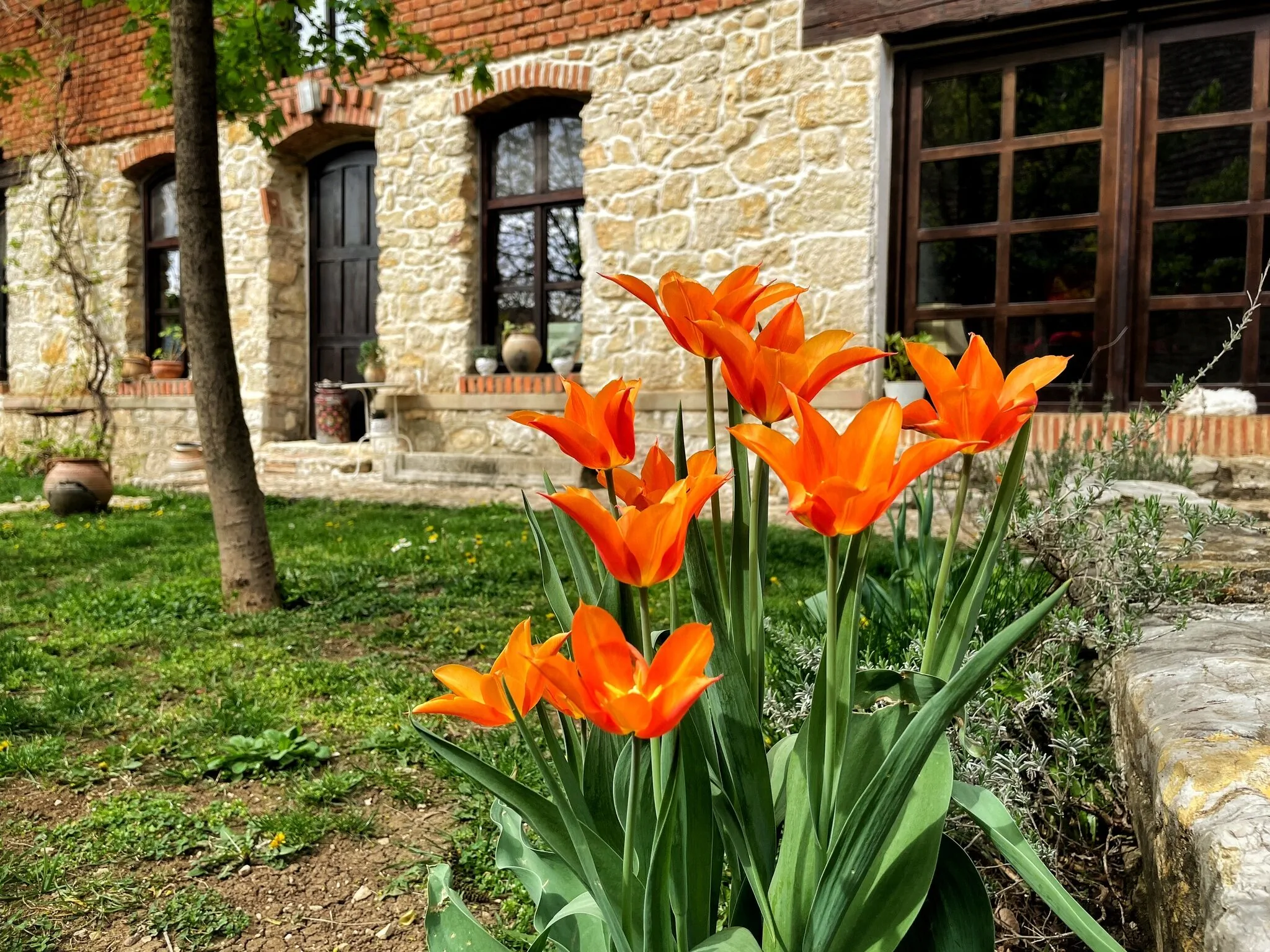Casa Thea Socolari - foto 10