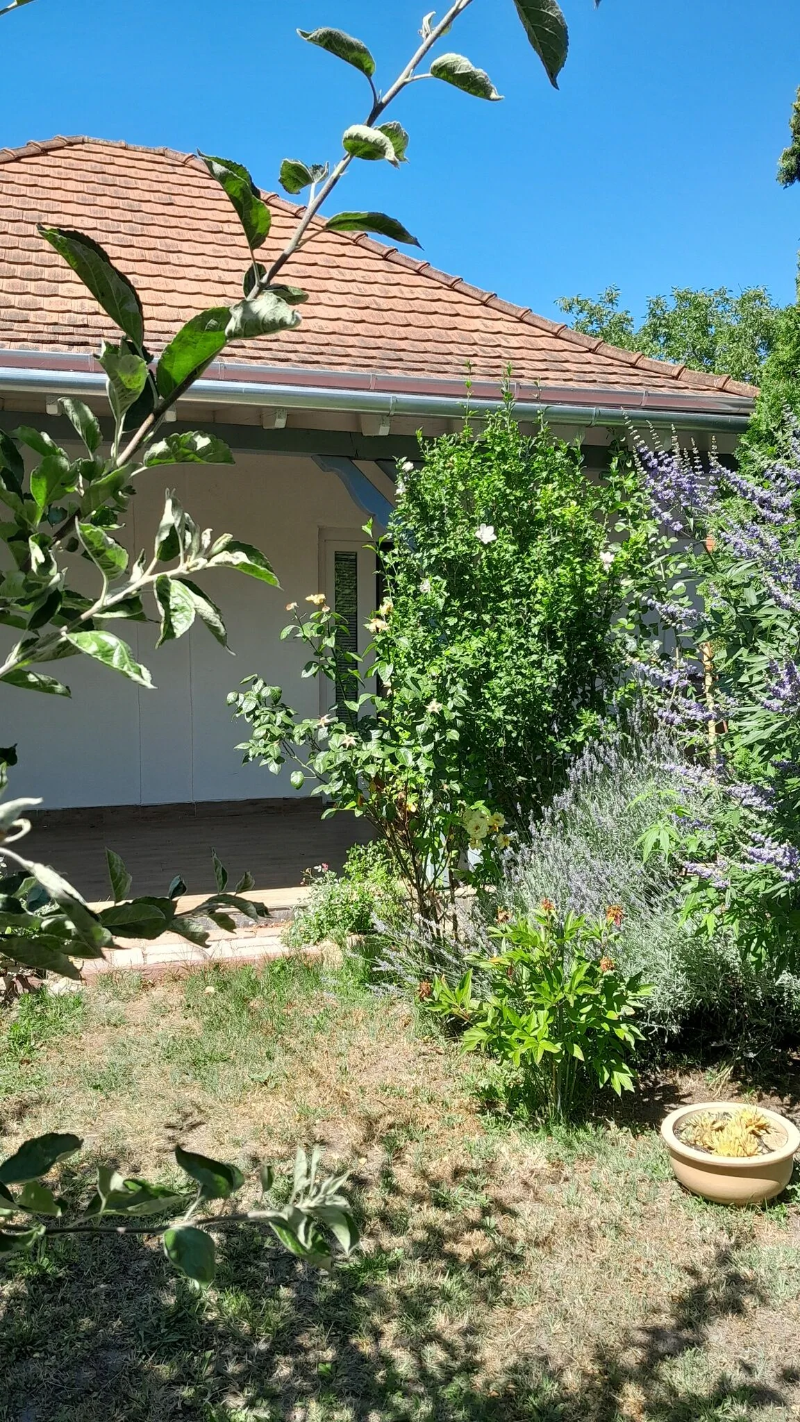 Fülemüle Apartman Zamárdi - foto 8
