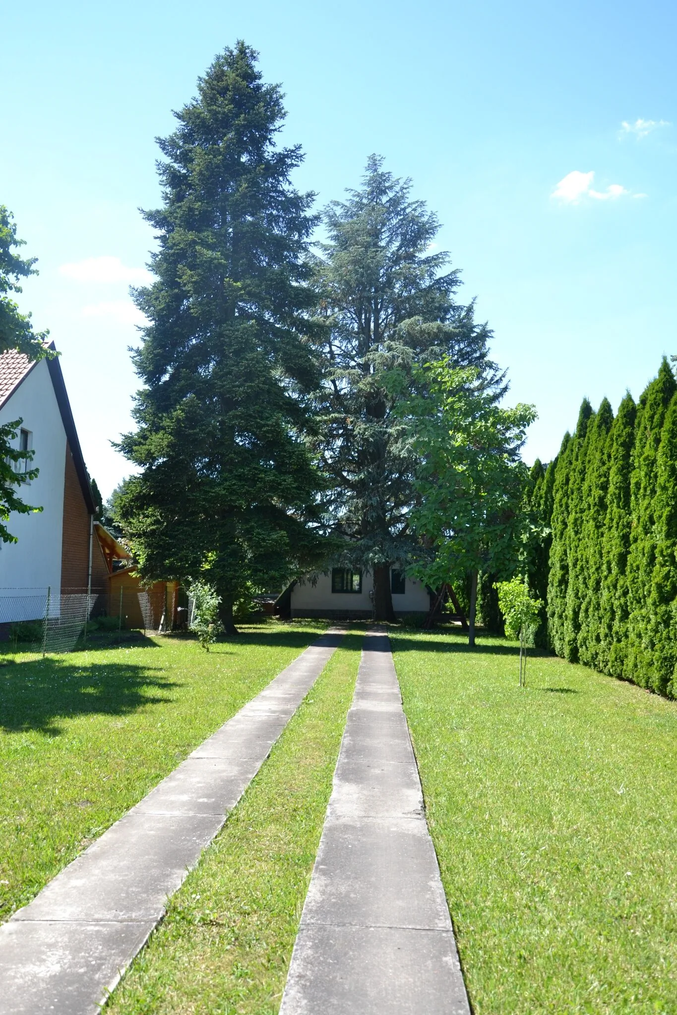 Dinnyelaposi Nyaraló 31. Békésszentandrás – Békésszentandrás, Ungaria