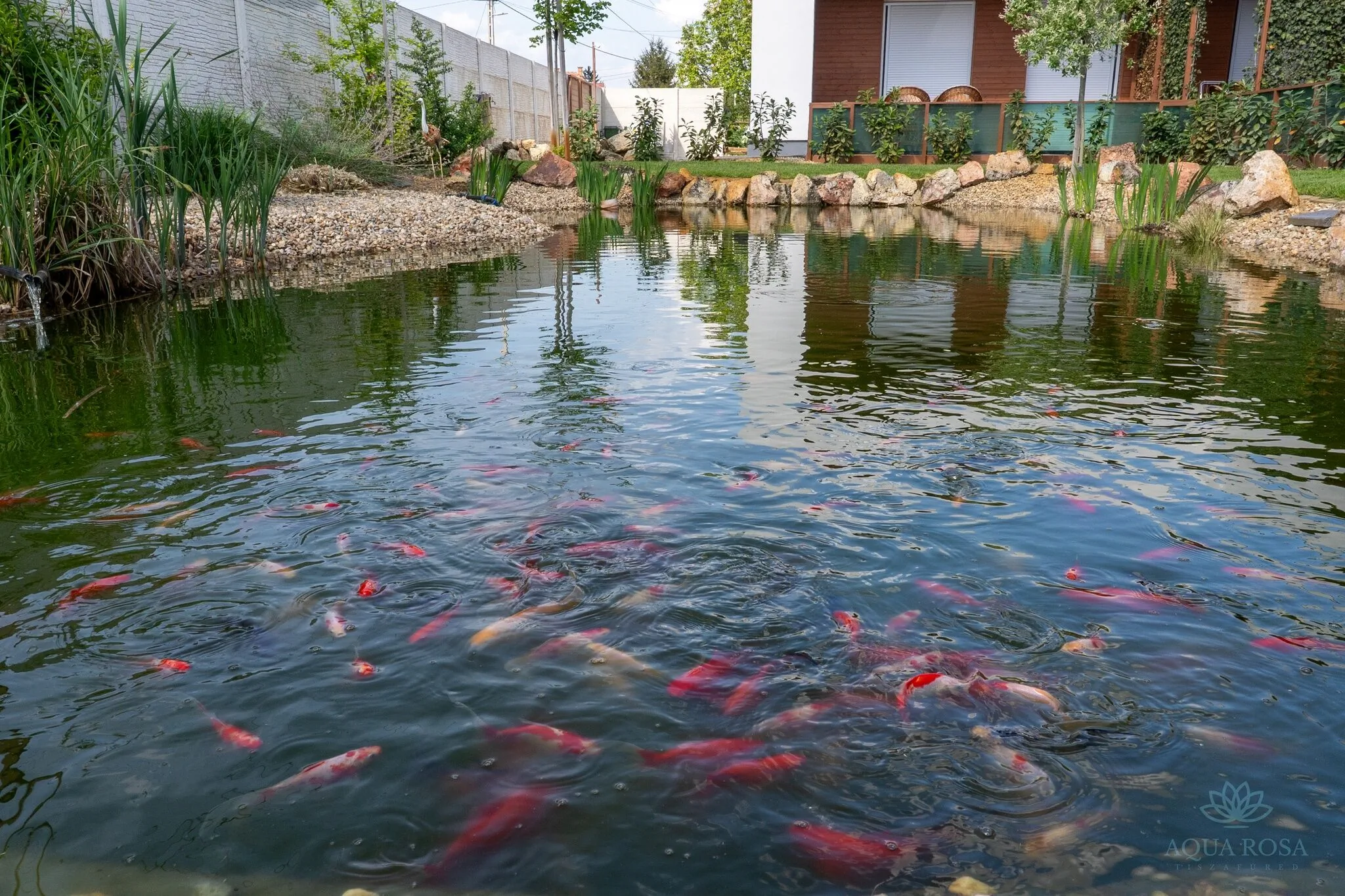AQUA ROSA Tiszafüred – Tiszafüred, Maďarsko