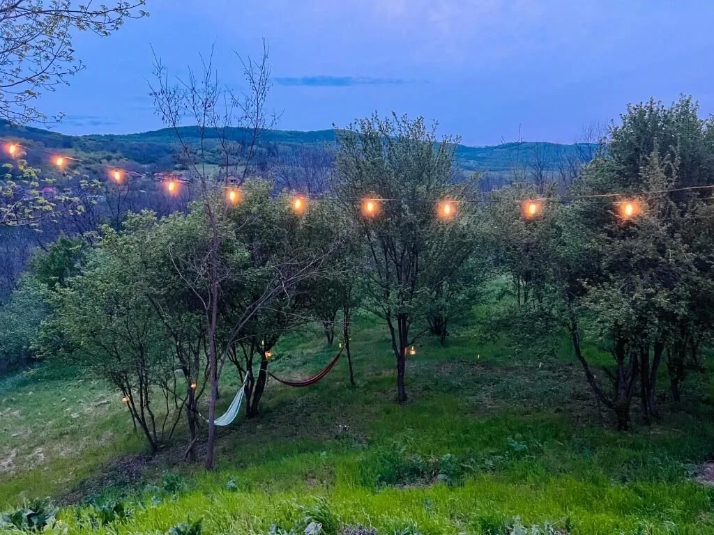 Căsuța cu Narghilea Joseni – Joseni, România