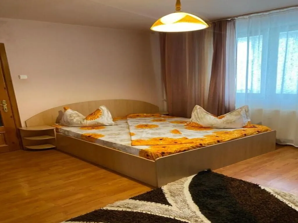 Apartament Darya Băile Felix - foto 9