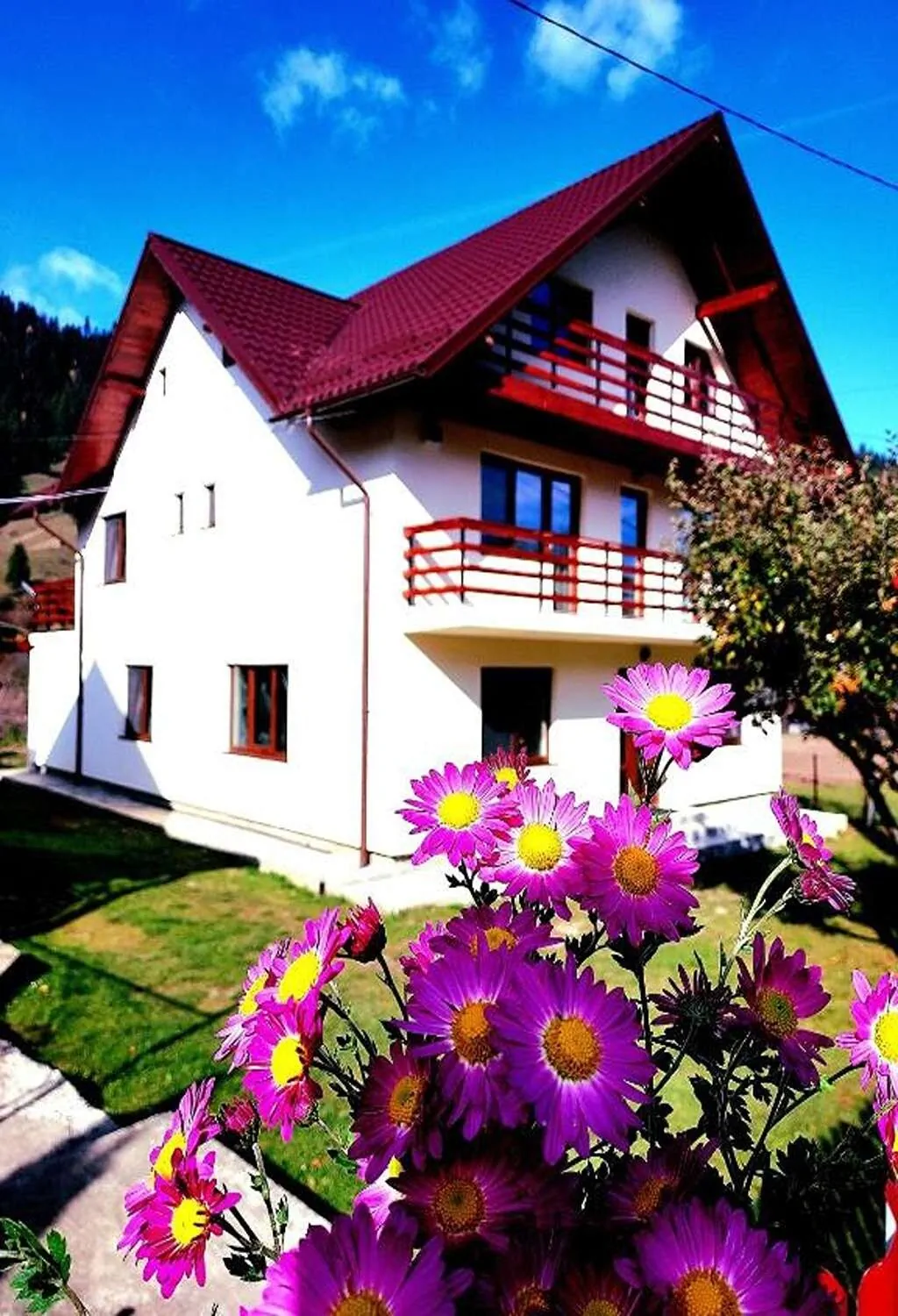 Casa Elena Ceahlău – Ceahlău, România
