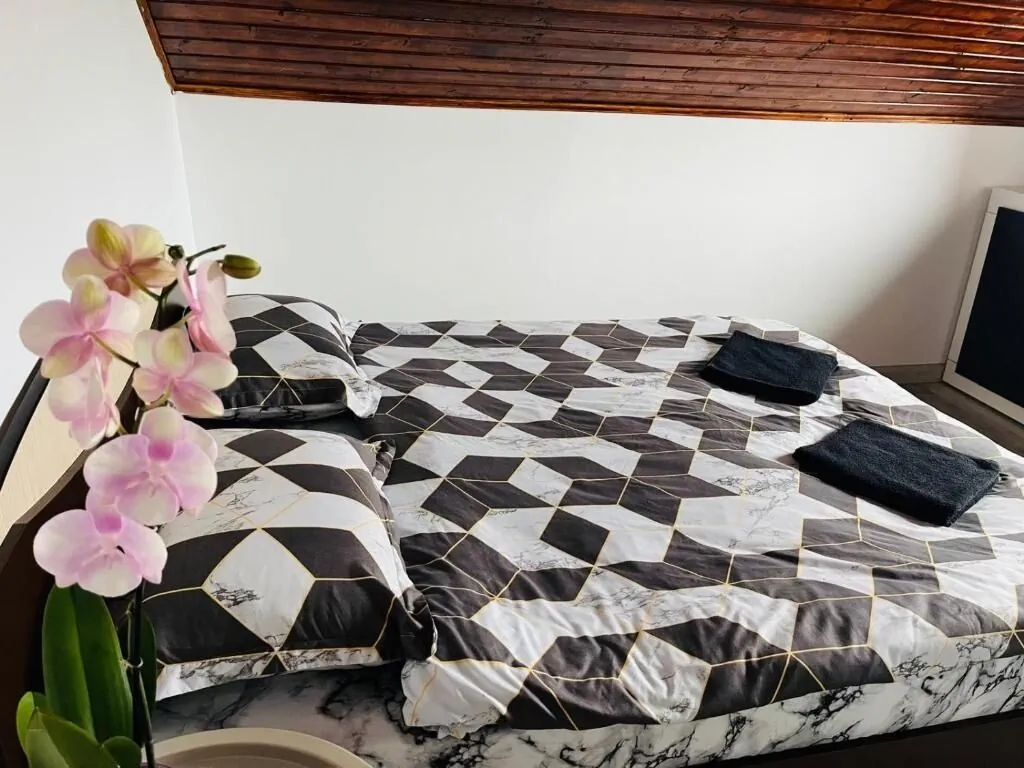 Casa Dumitru 2 Mai – 2 Mai, România
