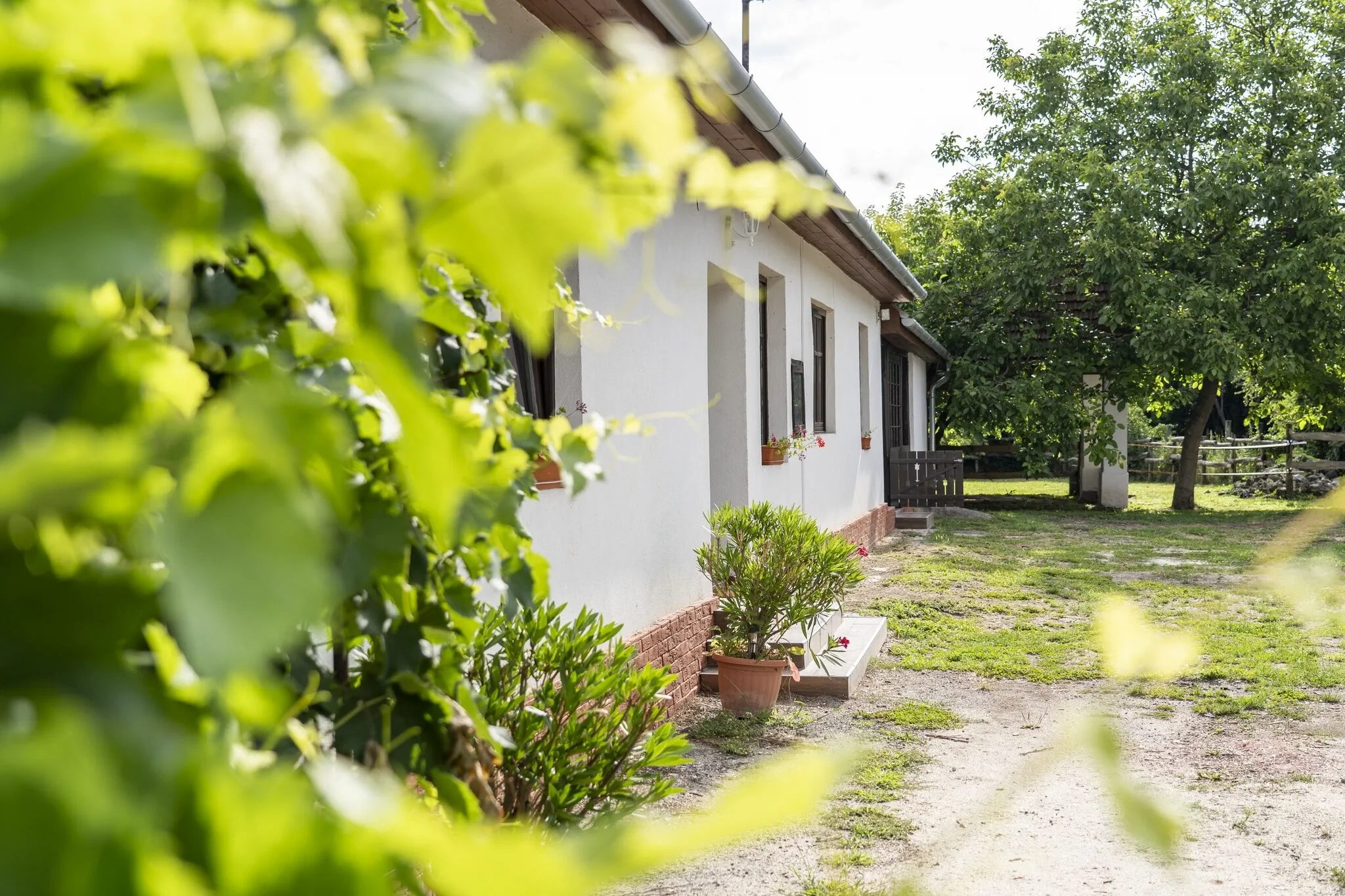 Patakparty Lak Szilvásvárad – Szilvásvárad, Ungaria
