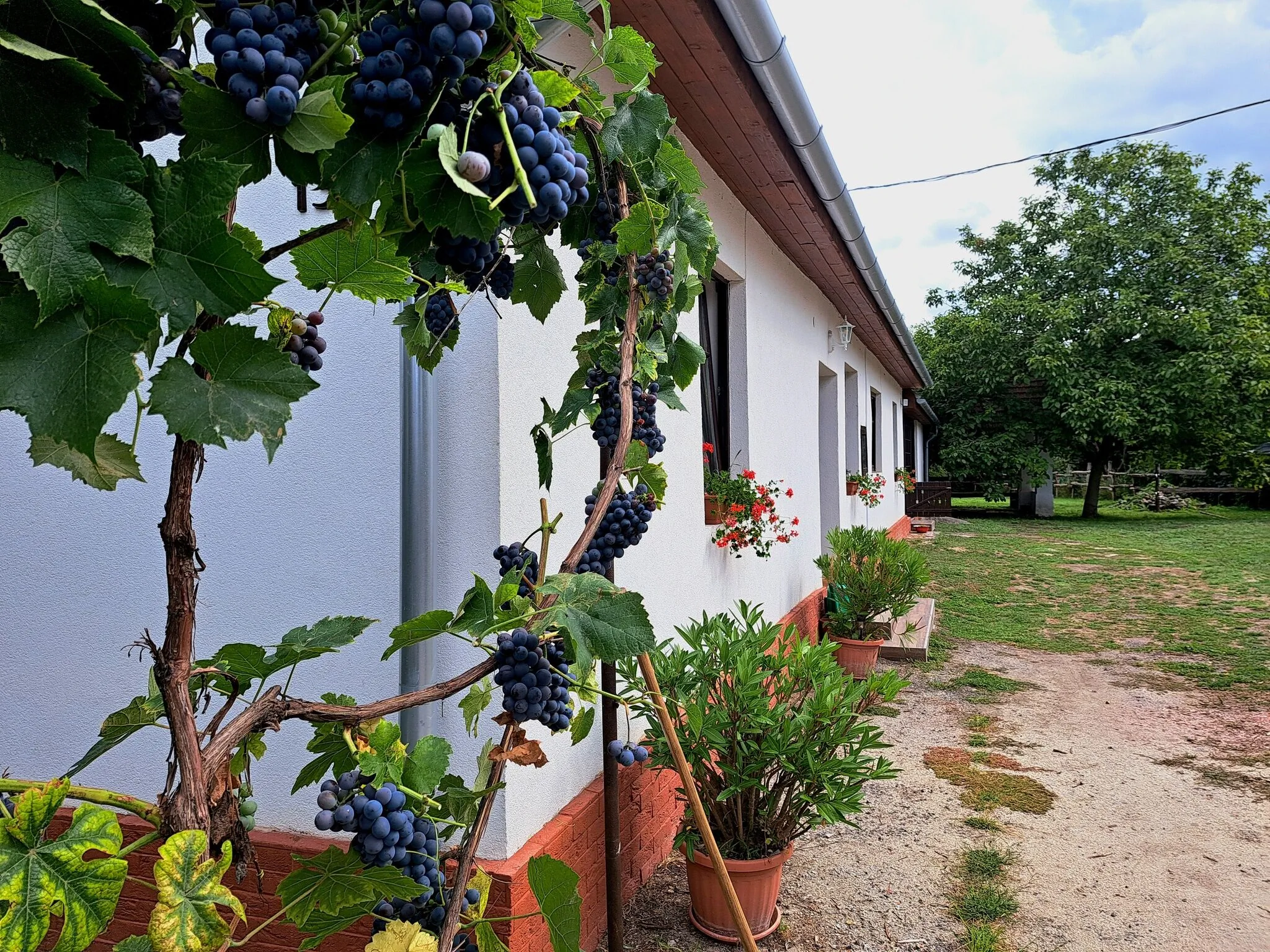 Patakparty Lak Szilvásvárad – Szilvásvárad, Ungaria