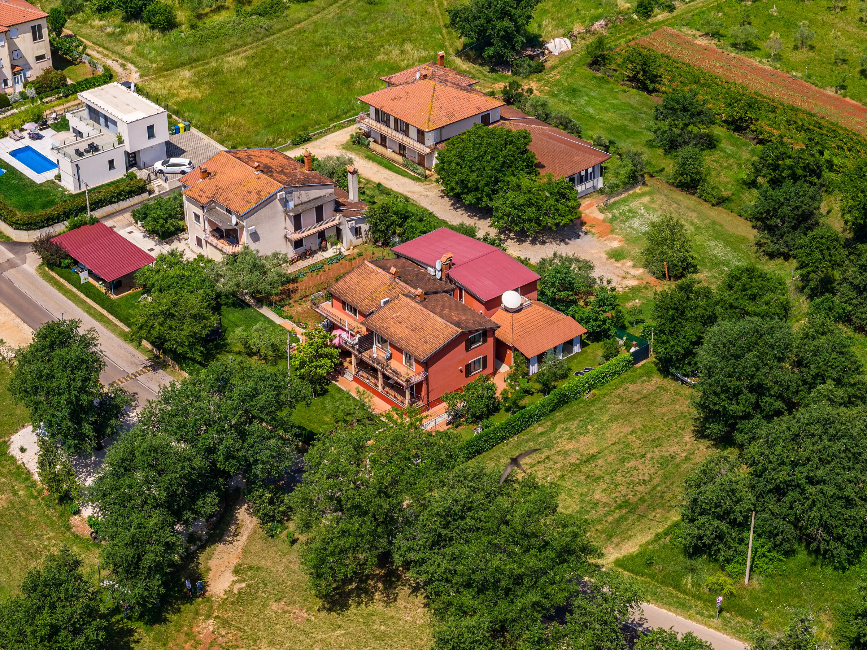 Apartments Villa Amaryllis Novigrad – Novigrad, Croația