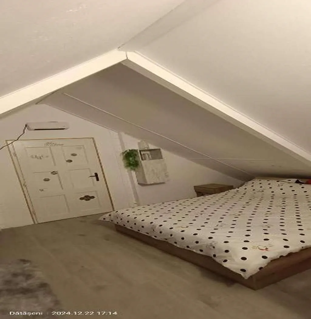 Cabana Sunset Oasis Dătășeni – Dătășeni, România