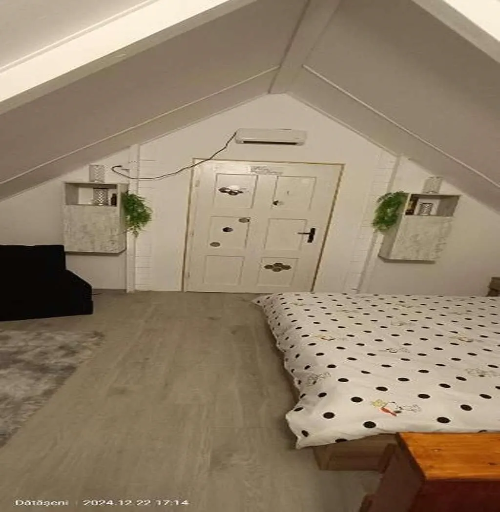 Cabana Sunset Oasis Dătășeni – Dătășeni, România