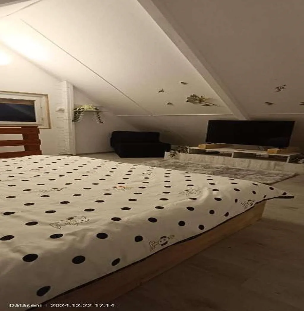 Cabana Sunset Oasis Dătășeni – Dătășeni, România