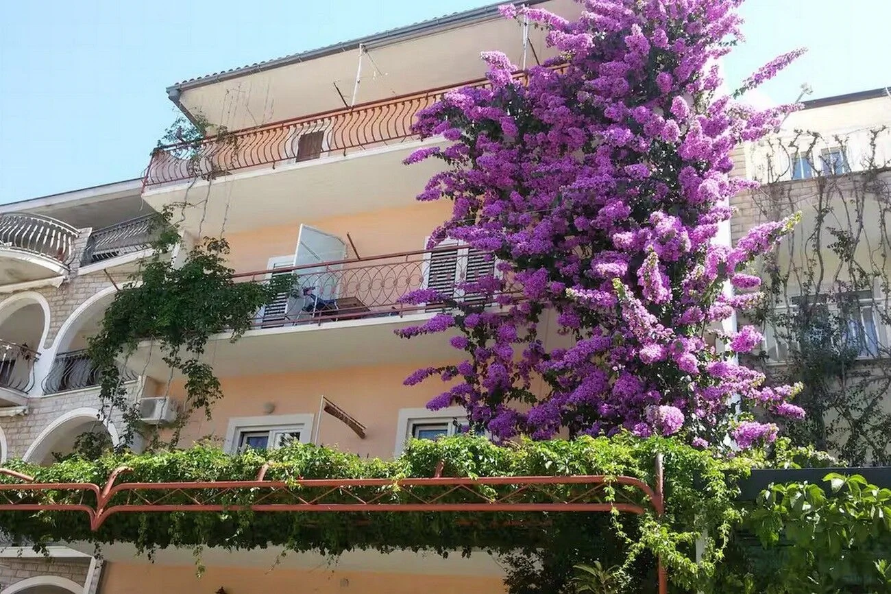 Apartments With Parking Space Makarska - 24071 - foto 1