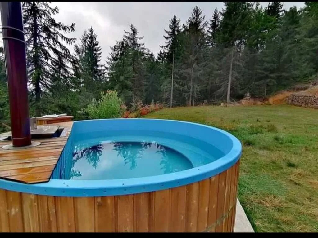 Casa Popasul lui Horea Vârtop – Vârtop, România
