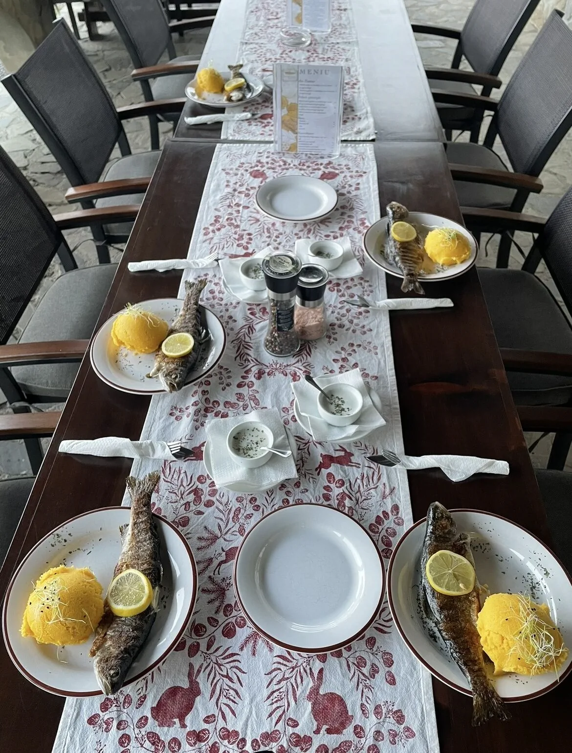 Vila Valea Sălbatică Şinca Veche - foto 8