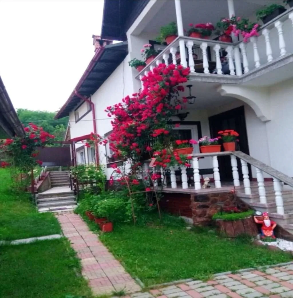 Pensiunea Andreea Arefu – Arefu, România