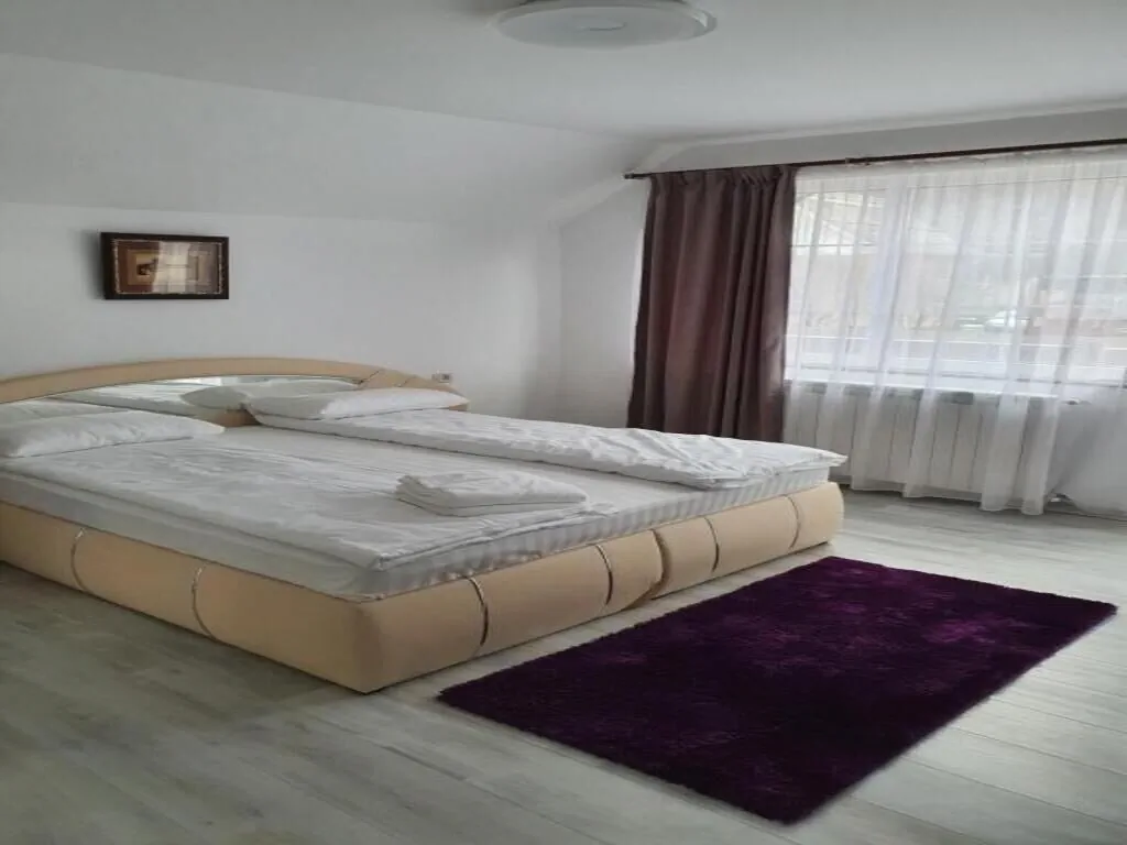 Casa Erma Moisei – Moisei, România