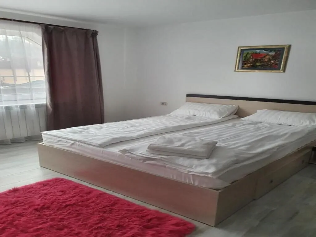Casa Erma Moisei – Moisei, România